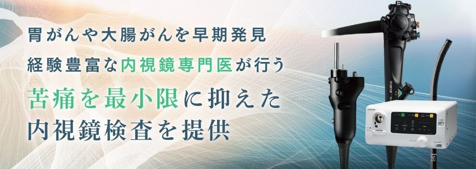 画像に alt 属性が指定されていません。ファイル名: %E5%86%85%E8%A6%96%E9%8F%A1%E6%A4%9C%E6%9F%BB%E3%81%AE%E9%87%8D%E8%A6%81%E6%80%A7.jpg